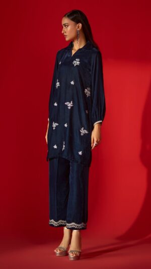 Allys Navy Blue Velvet 2-Piece Winter Wear