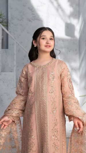 ALAYA – Blush Rose Girls Festive 3PC
